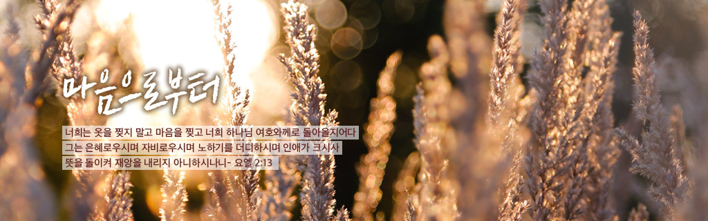 11월 마음으로부터